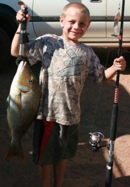 Dans fish Dans fish